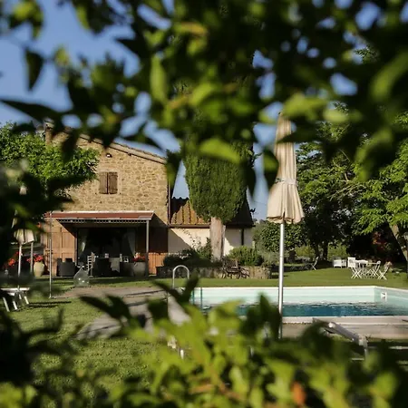 Il Vignolino