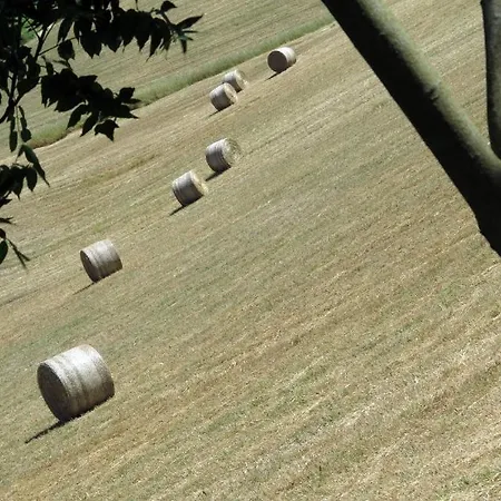 Il Vignolino Country house *
