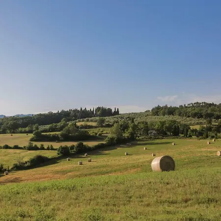 Il Vignolino Barberino di Mugello